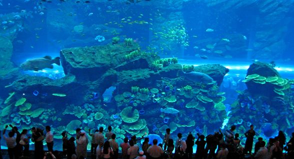 Así es el Dubai Mall, el centro comercial más lujoso del mundo imagen