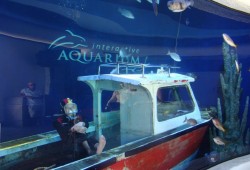 Conoce espectacular acuario interactivo de Cancún