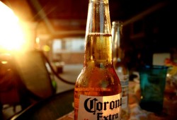 Cuáles son las cervezas mexicanas libres de transgénicos