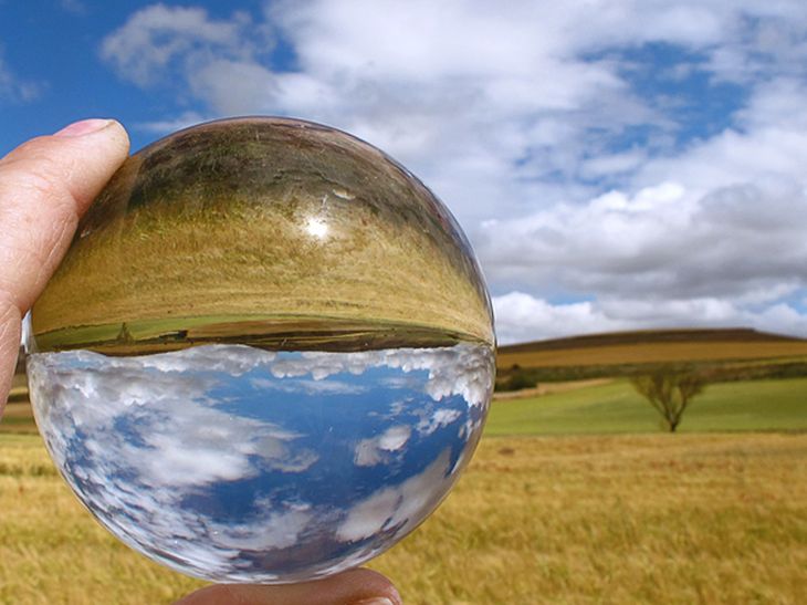 Despierta la consciencia ecológica de tu hijo con estas sencillas actividades diarias imagen