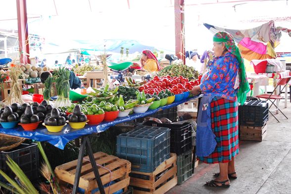 Experiencias: día de tianguis indígena en Tlacolula imagen