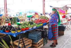 Experiencias: día de tianguis indígena en Tlacolula