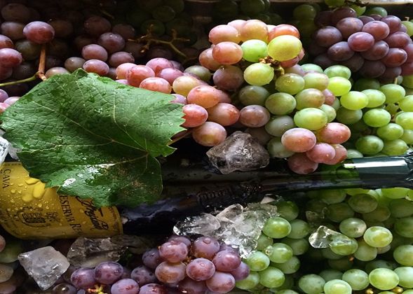 Fiestas del Vino en Querétaro imagen